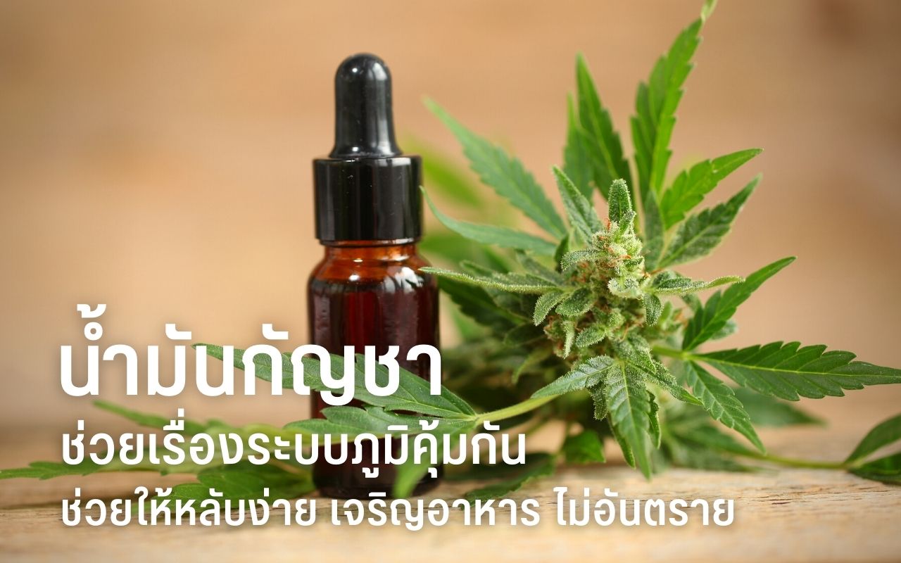 น้ำมันกัญชา