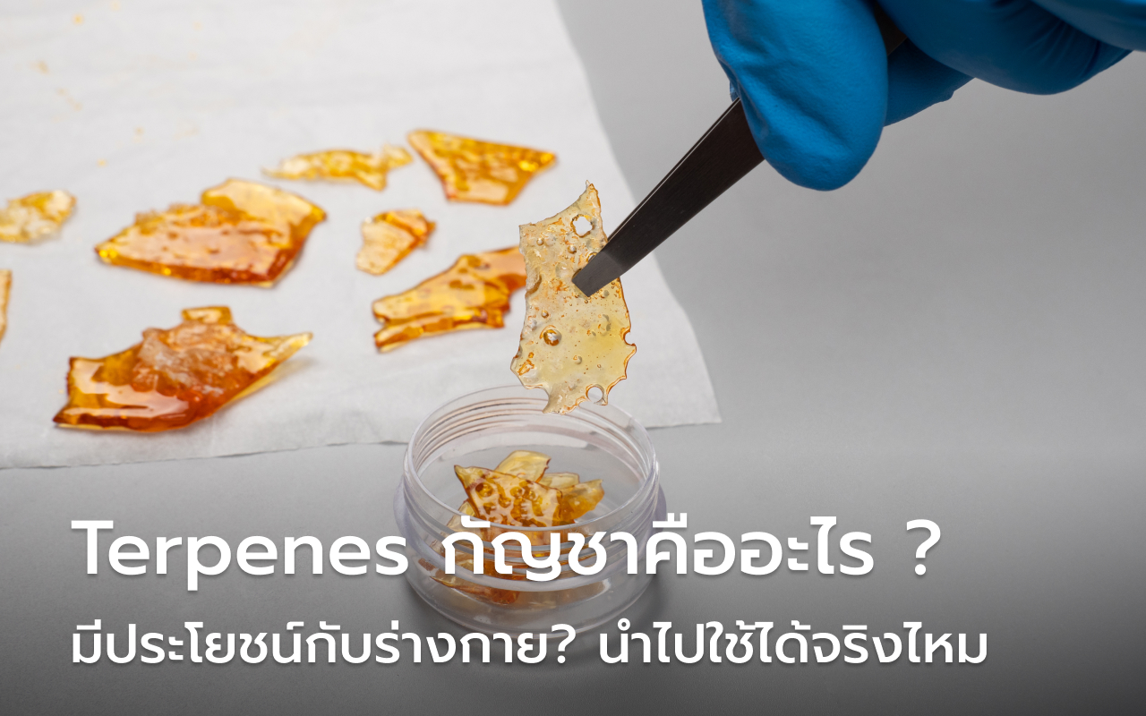 Terpenes