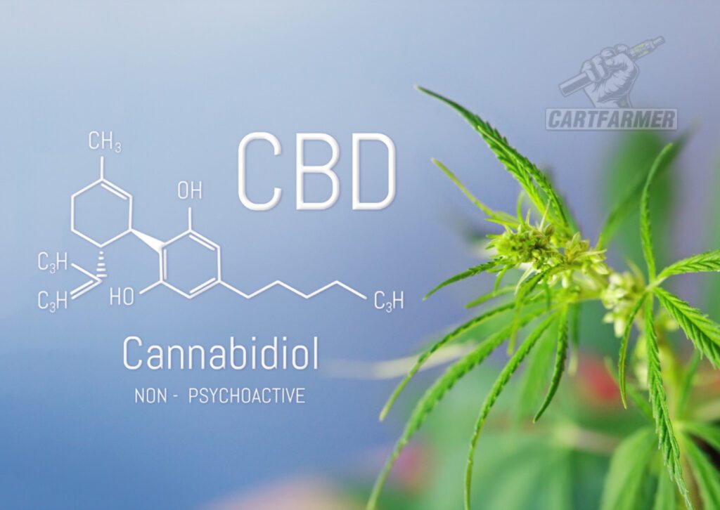 CBD vape รีวิว