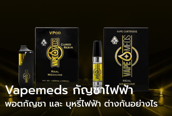 Vapemeds กัญชาไฟฟ้า พอตกัญชา และ บุหรี่ไฟฟ้า ต่างกันอย่างไร